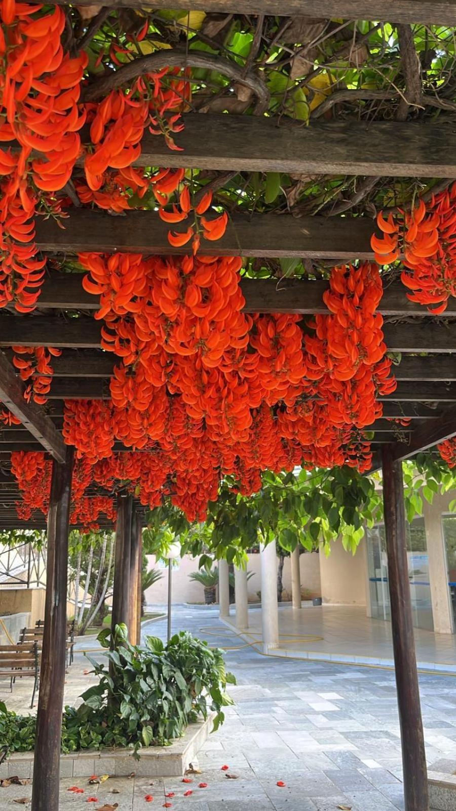 Caldas Novas Apartamento Parque Aquatico Excelente Bagian luar foto